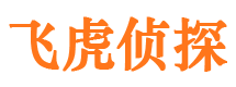 丰满市私家侦探